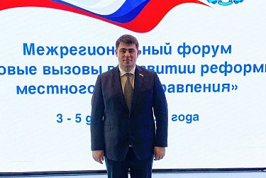 Местное самоуправление – проблемы и решения  